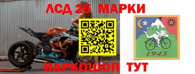 прущие грибы Новозыбков