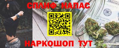 прущие грибы Новозыбков