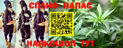 прущие грибы Новозыбков