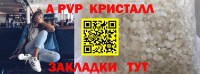 прущие грибы Новозыбков