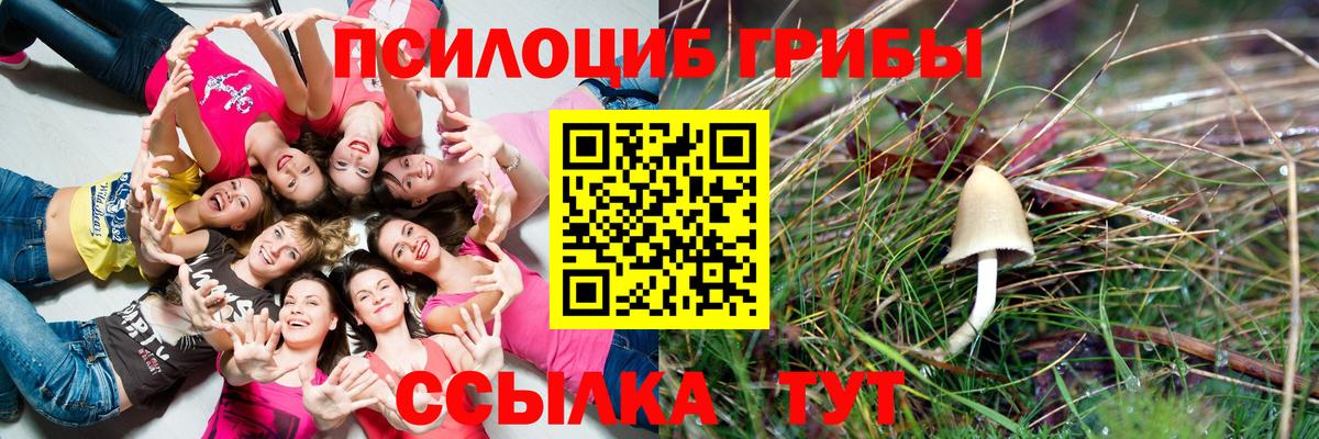 Псилоцибиновые грибы Cubensis  Вход с VPN  Свободный 